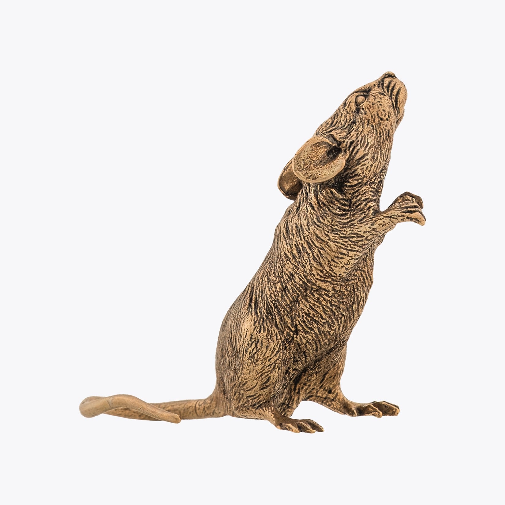 Bronze statue of a standing mouse on a white background